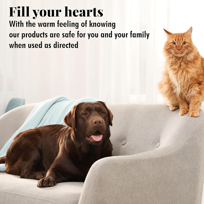 Citrus Magic Pet Solid Air Fresheners, Fresh Citrus, 8 Ounce, Pack of 3 | Odor Absorbing, Passive Diffusion, Odor Elimination Up to 6-8 Weeks Each, Ideal for Dog & Cat Areas and Litter Boxes