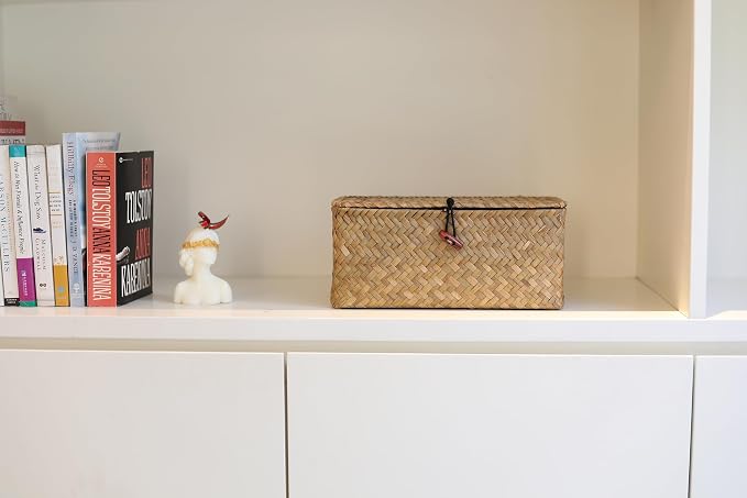 DOKOT Rectangular Handwoven Seagrass Small Storage Basket with Lid for Shelves and Home Organizer Bins,S (10.2"x5.5"x4.3"H), Natural