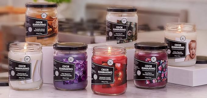 Siberian Fir Odor Eliminating Highly Fragranced Candle - Eliminates 95% of Pet, Smoke, Food, and Other Smells Quickly - Up to 80 Hour Burn time - 12 Ounce Premium Soy Blend