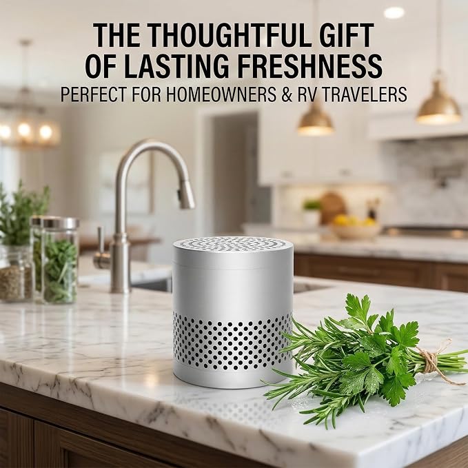 Fridge Deodorizer Odor Eliminator – Reusable Refrigerator Freshener, Stainless Steel Odor Absorber for Car, 10-Year Catalytic Fridge Odor Remover for Freezer Closet (Silver A, 0)
