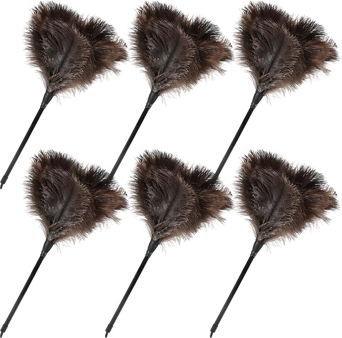 Ostrich Feather Duster-14.9 Inch Mini Natural Feathers Dusters with Plastic Handle Reusable Handheld for Cleaning Supplies Home Car Office(6pcs)