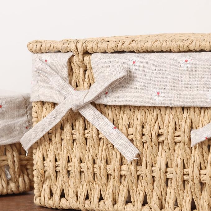 FEILANDUO Wicker Shelf Baskets Bin with Lid, Handwoven Paper Rope Baskets for Organizing, Rectangular Basket for Storage, Desktop Boxes with Lids Home Organizer Decor, Medium