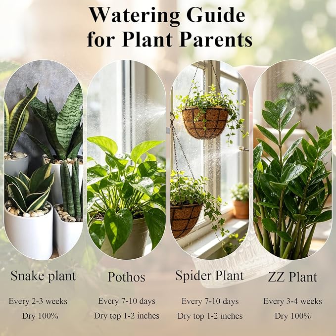 Glass Plant Mister Spray Bottle Vintage Refill Leak Proof Watering Can 8oz | for Indoor Plants, Houseplants, Gardening, Cleaning, Hair & Pet Care with Mist Nozzle (Clear-black Pump)
