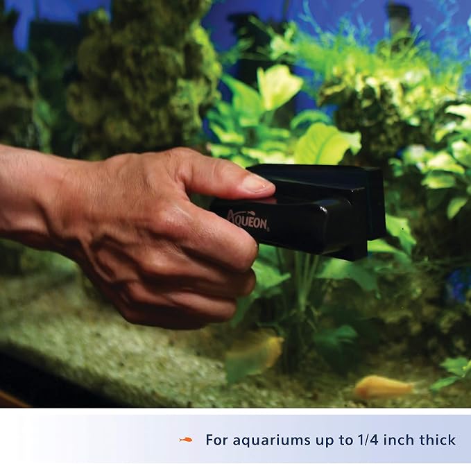 Aqueon Aquarium Algae Scraper, Fish Tank Cleaning Magnets for Glass/Acrylic, Small, Black | Magnetic aquarium glass cleaner for glass or acrylic, curved pad cleans flat and curved surfaces