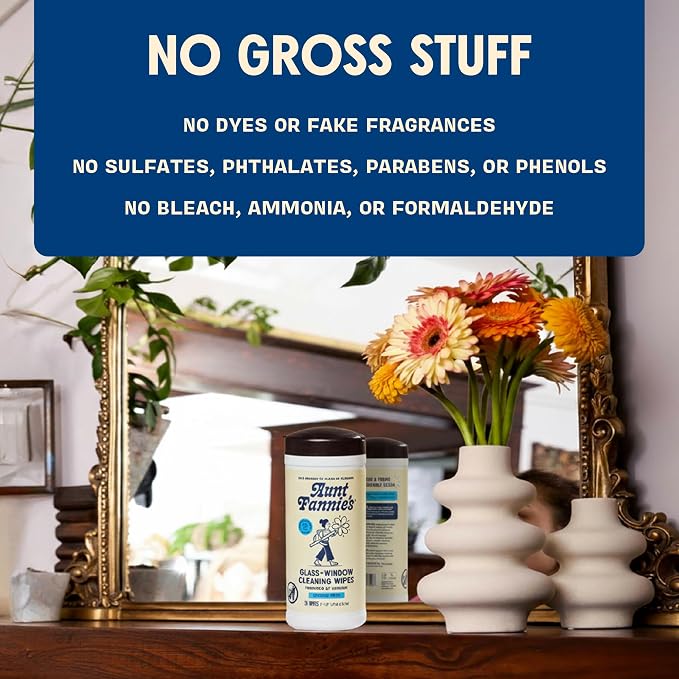 Aunt Fannie's Glass & Window Cleaning Wipes, 35 Count, Pack of 6 | Fast-Drying Formula, Removes Smudges, Safe for Mirrors Windows Shower Doors & Other Glass, Kid and Pet Safe, Made in USA