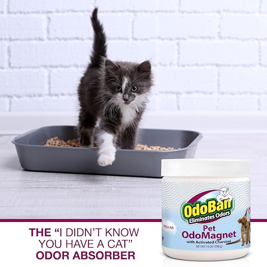 OdoBan OdoMagnet Pet Odor Eliminator with Activated Charcoal, 14 Ounce 3-Pack, Fresh Air Scent