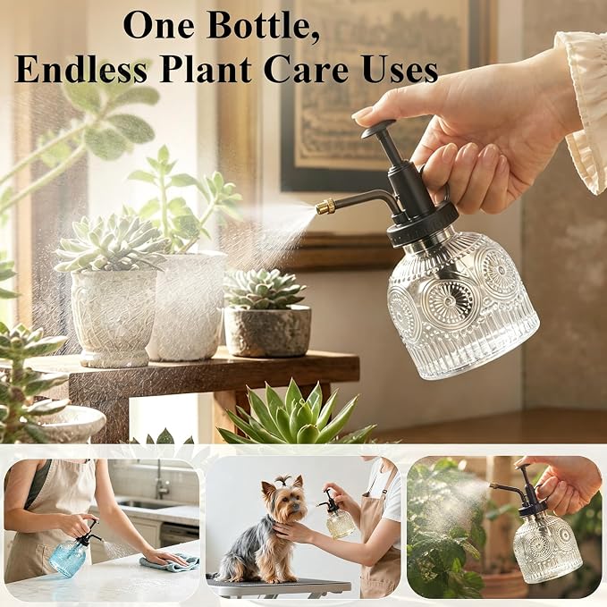 Glass Plant Mister Spray Bottle Vintage Refill Leak Proof Watering Can 8oz | for Indoor Plants, Houseplants, Gardening, Cleaning, Hair & Pet Care with Mist Nozzle (Clear-black Pump)