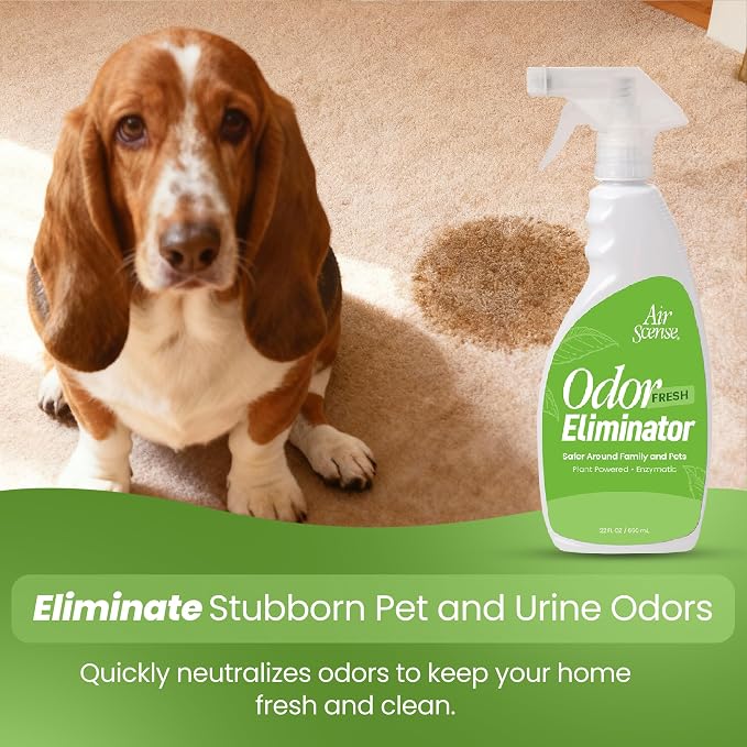 Air Scense Odor Eliminator Spray for Home, Fabrics & Pet Odors, 3 Pack | Neutralizes odors at the source | Pet and organic odors | Fabrics and household surfaces