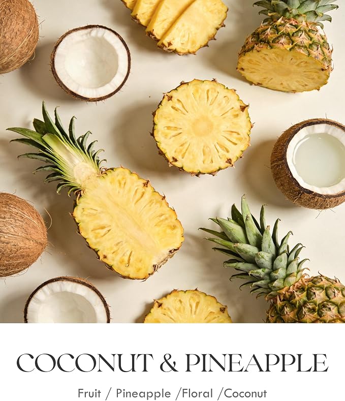 AOOVOO Coconut Pineapple Odor Eliminating Candle - 9 oz Soy Candles | Eliminates 95% of Pet, Smoke, Food, and Other Smells Quickly, Non Toxic Air Freshing Candle, Up to 50 Hours Burn time