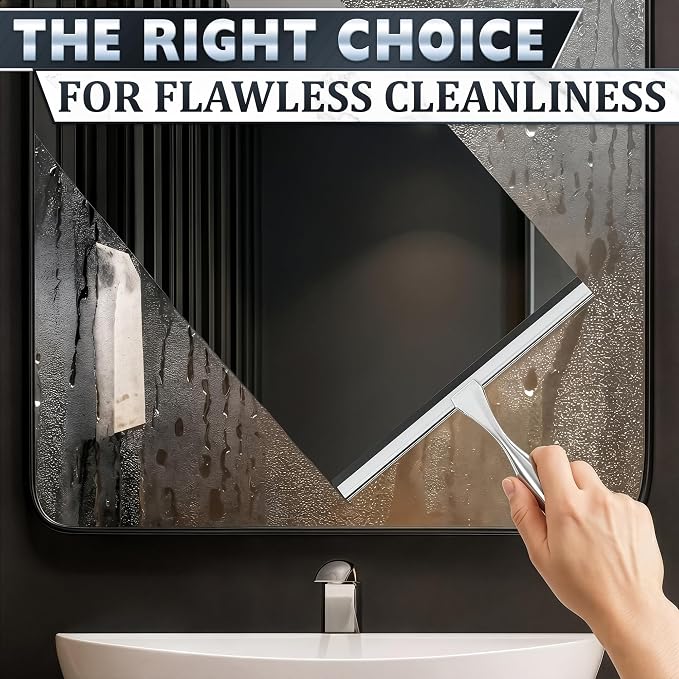 Stainless Steel Shower Squeegee, Glass, Silicone, 10 Inch (Silver) | Shower Door Squeegee with Silicone Blade, Adhesive & Hanging Hooks for Mirror, Tile, Window, Car, Multi-Surface Everyday Use