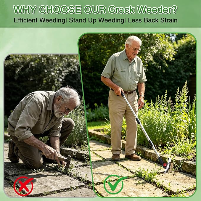3 in 1 Crack Weeder Tool Long Handle | Heavy Duty Weed Puller, Stainless Steel Crevice Weeding Tool, Moss Scraper, For Driveway, Patio, Pavers, Sidewalk