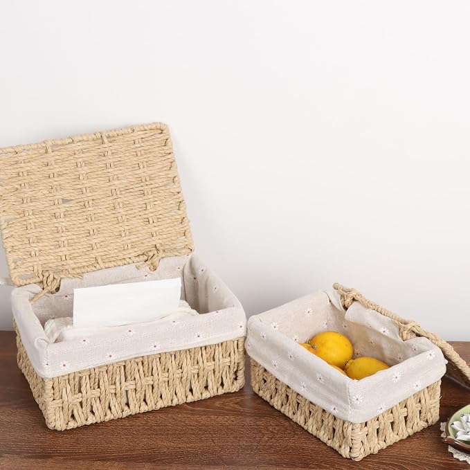 FEILANDUO Wicker Shelf Baskets Bin with Lid, Handwoven Paper Rope Baskets for Organizing, Rectangular Basket for Storage, Desktop Boxes with Lids Home Organizer Decor, Medium