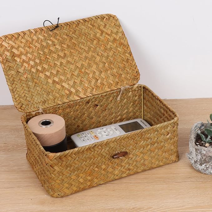 FEIALNDUO Wicker Shelf Baskets with Lid,Seagrass Storage Basket Bins Rectangular Handwoven Basket Boxes for Shelves Desktop Home Organizer (Natural, Small)