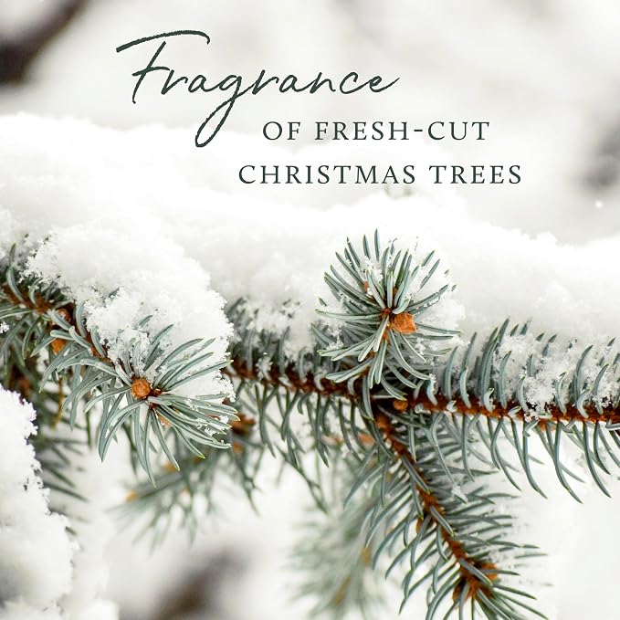 Thymes Home Fragrance Mist – Room Air Fresheners for Home Long Lasting – Air Freshener Spray – Pine Room Spray with Notes of Crisp Siberian Fir Needles, Cedarwood & Sandalwood (Frasier Fir, 3 oz)
