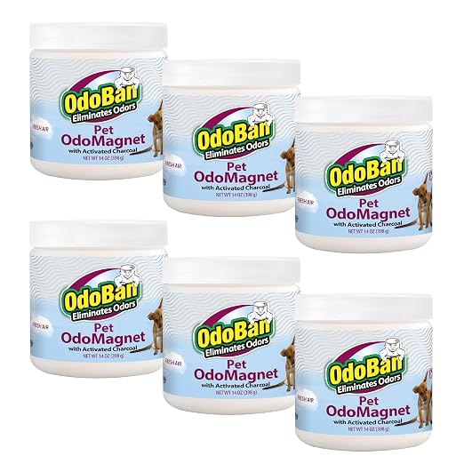 OdoBan OdoMagnet Pet Odor Eliminator with Activated Charcoal, 14 Ounce 6-Pack, Fresh Air Scent