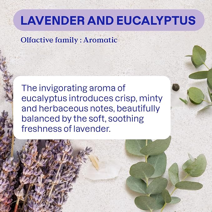 ATTITUDE Odor Eliminator with Activated Carbon, Plant-Based Air Purifier, Vegan, Lavender & Eucalyptus Scent, 8 Ounces