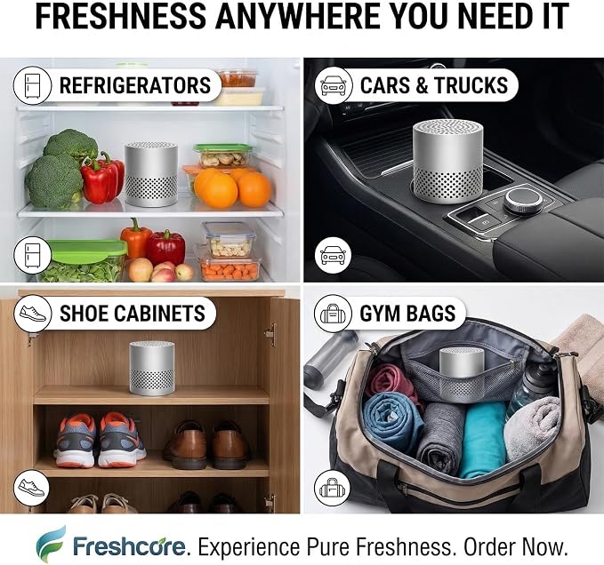 Fridge Deodorizer Odor Eliminator – Reusable Refrigerator Freshener, Stainless Steel Odor Absorber for Car, 10-Year Catalytic Fridge Odor Remover for Freezer Closet (Silver A, 0)