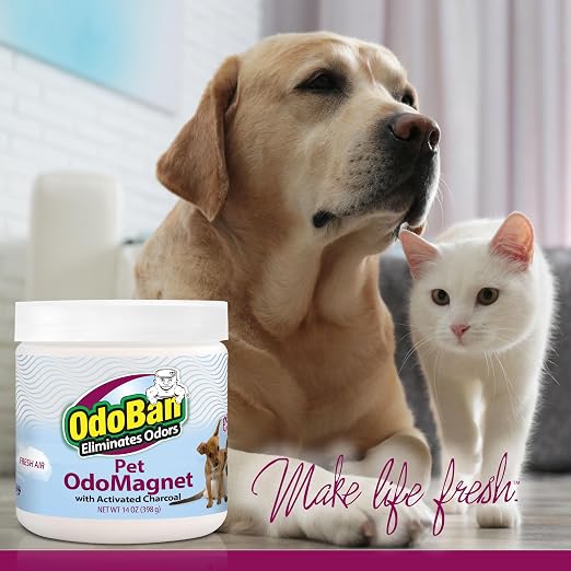 OdoBan OdoMagnet Pet Odor Eliminator with Activated Charcoal, 14 Ounce 2-Pack, Fresh Air Scent