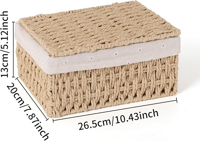 FEILANDUO Wicker Shelf Baskets Bin with Lid, Handwoven Paper Rope Baskets for Organizing, Rectangular Basket for Storage, Desktop Boxes with Lids Home Organizer Decor, Medium
