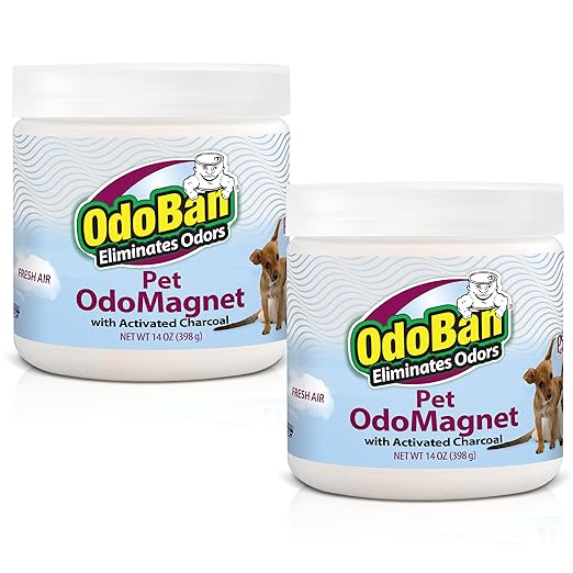 OdoBan OdoMagnet Pet Odor Eliminator with Activated Charcoal, 14 Ounce 2-Pack, Fresh Air Scent