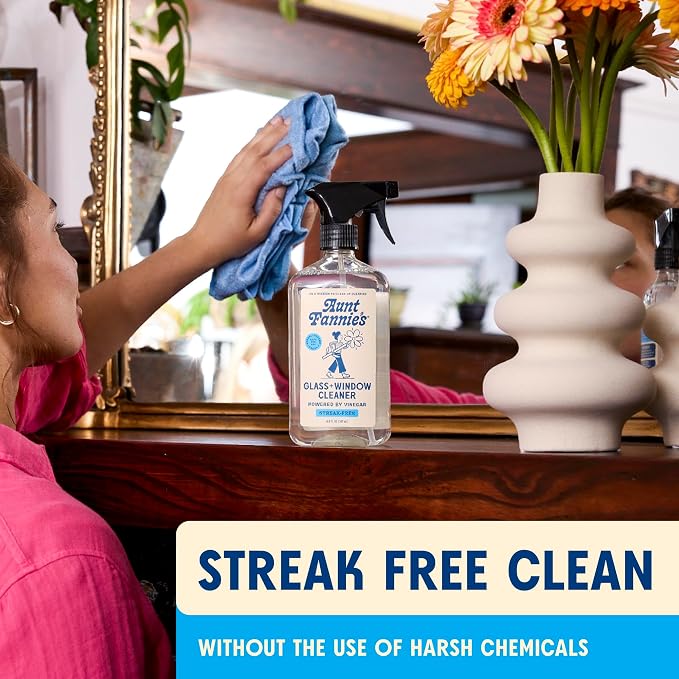Aunt Fannie's Glass & Window Vinegar Spray, Streak-Free, 16.9 oz, Pack of 1 | Fast-Drying Formula, Removes Smudges, Safe for Mirrors Windows Shower Doors & Other Glass, Ammonia Free, Made in USA