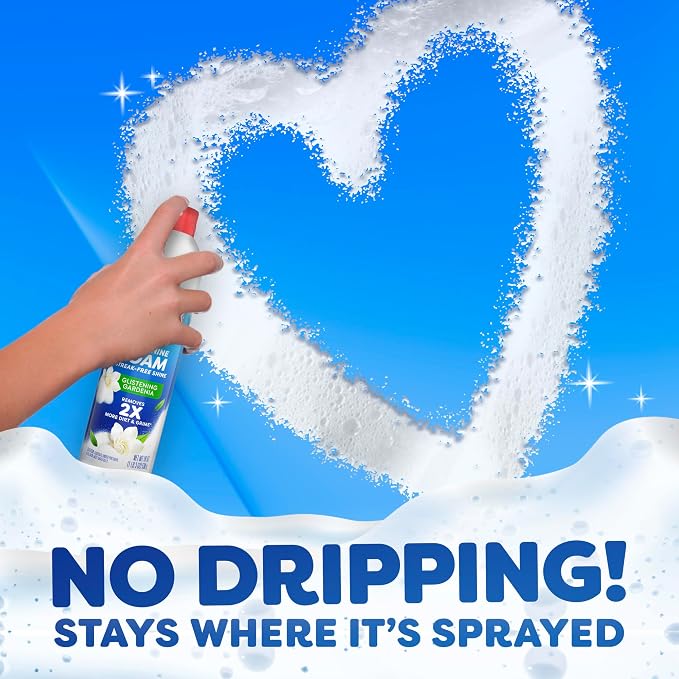 Windex Fast Shine Foam Glass Cleaner, No-Drip Windows, Doors, Mirrors, Countertops Aerosol Cleaning Spray, Streak-Free Shine, Removes Fingerprints, Dust, Dirt, Gardenia Scent, 19 oz (Pack of 6)