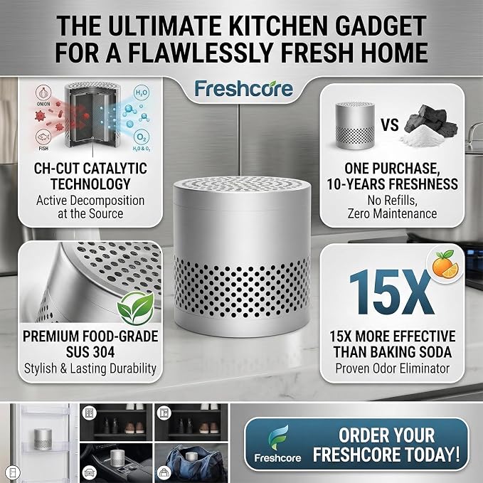 Fridge Deodorizer Odor Eliminator – Reusable Refrigerator Freshener, Stainless Steel Odor Absorber for Car, 10-Year Catalytic Fridge Odor Remover for Freezer Closet (Silver A, 0)