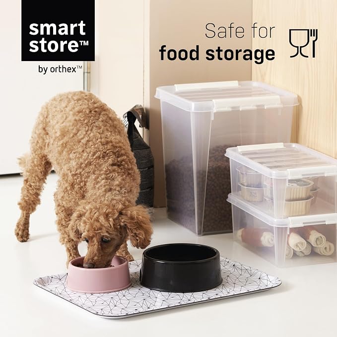 SmartStore Classic 2 Clear Box Storage, 2L/2.1QT BPA-Free Stackable Container with Clip Lock Lid, Food Safe Plastic Bins for Organization, 10 Pack