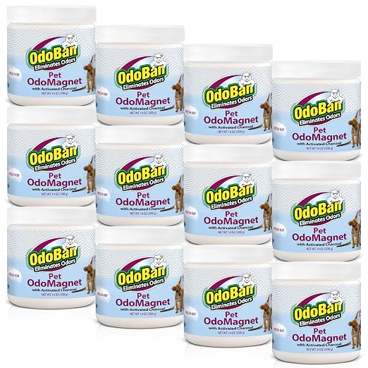 OdoBan OdoMagnet Pet Odor Eliminator with Activated Charcoal, 14 Ounce 12-Pack, Fresh Air Scent