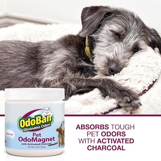 OdoBan OdoMagnet Pet Odor Eliminator with Activated Charcoal, 14 Ounce 6-Pack, Fresh Air Scent