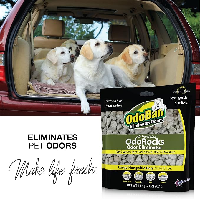OdoBan Air Purifying OdoRocks Natural Odor Eliminator Made from Natural Volcanic Rocks, 2 Pound Bag, Fragrance Free (Pack of 2)