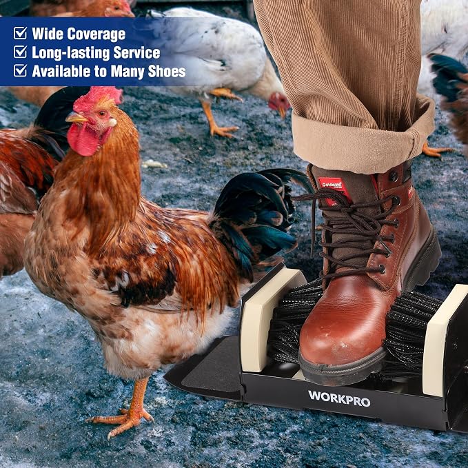 WORKPRO Boot Scrubber Shoe Brush Kit | Heavy Duty Boot Brush Outdoor, Length 18-1/2'' (47 cm), Shoe Cleaning Brush, Wooden Cleaning Tool for Indoors & Outdoors